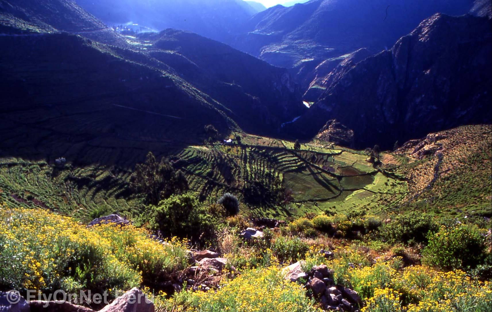 Album photos: Chemin Inca